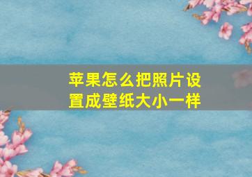 苹果怎么把照片设置成壁纸大小一样