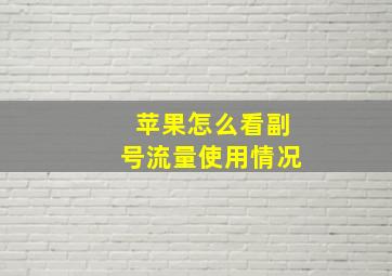 苹果怎么看副号流量使用情况