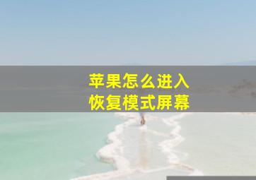 苹果怎么进入恢复模式屏幕