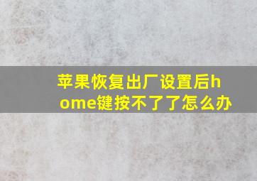 苹果恢复出厂设置后home键按不了了怎么办