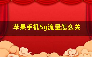 苹果手机5g流量怎么关