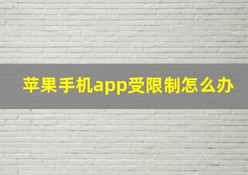 苹果手机app受限制怎么办