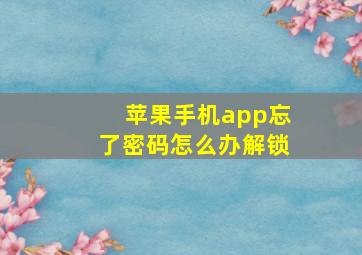 苹果手机app忘了密码怎么办解锁