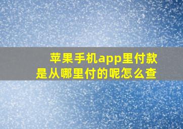 苹果手机app里付款是从哪里付的呢怎么查