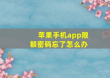 苹果手机app限额密码忘了怎么办