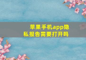 苹果手机app隐私报告需要打开吗