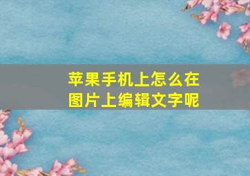 苹果手机上怎么在图片上编辑文字呢