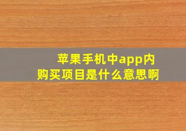 苹果手机中app内购买项目是什么意思啊