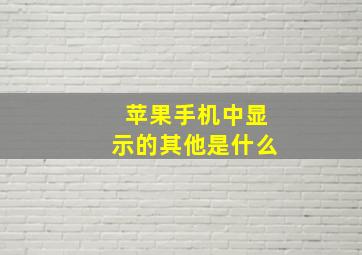 苹果手机中显示的其他是什么