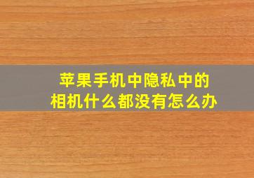 苹果手机中隐私中的相机什么都没有怎么办