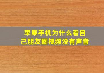 苹果手机为什么看自己朋友圈视频没有声音