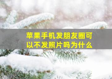 苹果手机发朋友圈可以不发照片吗为什么