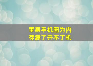 苹果手机因为内存满了开不了机