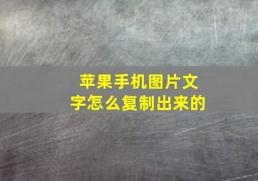 苹果手机图片文字怎么复制出来的