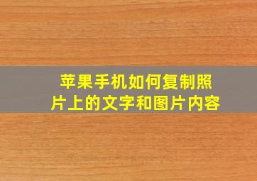 苹果手机如何复制照片上的文字和图片内容