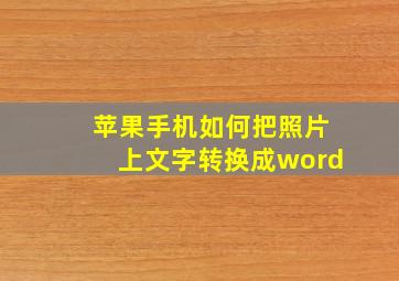 苹果手机如何把照片上文字转换成word