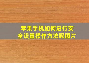 苹果手机如何进行安全设置操作方法呢图片