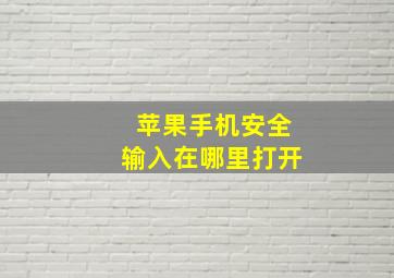 苹果手机安全输入在哪里打开