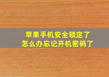 苹果手机安全锁定了怎么办忘记开机密码了