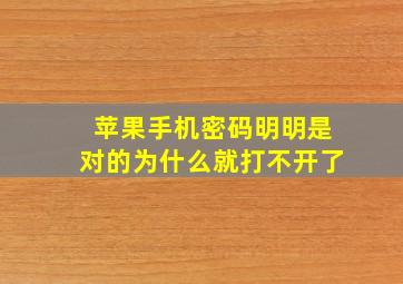 苹果手机密码明明是对的为什么就打不开了