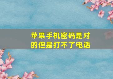 苹果手机密码是对的但是打不了电话