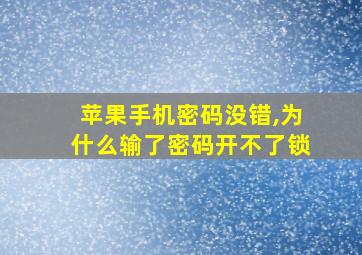 苹果手机密码没错,为什么输了密码开不了锁