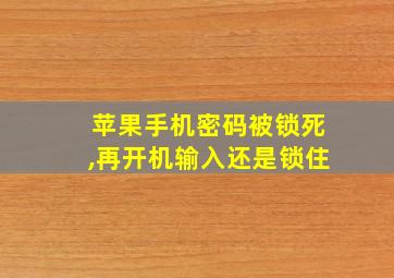 苹果手机密码被锁死,再开机输入还是锁住