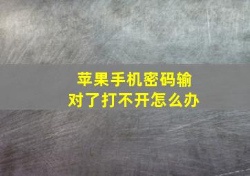 苹果手机密码输对了打不开怎么办