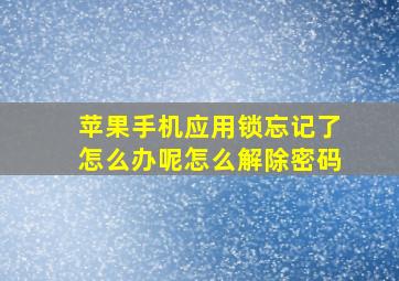 苹果手机应用锁忘记了怎么办呢怎么解除密码