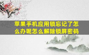 苹果手机应用锁忘记了怎么办呢怎么解除锁屏密码