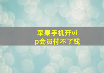 苹果手机开vip会员付不了钱