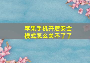 苹果手机开启安全模式怎么关不了了