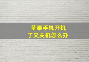 苹果手机开机了又关机怎么办