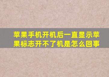 苹果手机开机后一直显示苹果标志开不了机是怎么回事