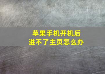 苹果手机开机后进不了主页怎么办