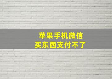 苹果手机微信买东西支付不了