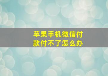 苹果手机微信付款付不了怎么办