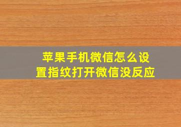 苹果手机微信怎么设置指纹打开微信没反应