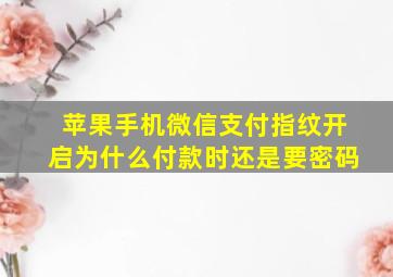 苹果手机微信支付指纹开启为什么付款时还是要密码