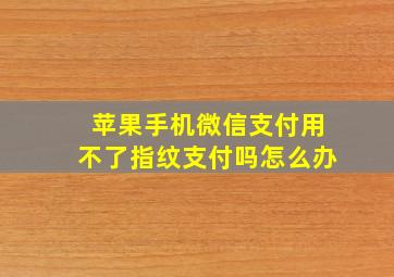 苹果手机微信支付用不了指纹支付吗怎么办