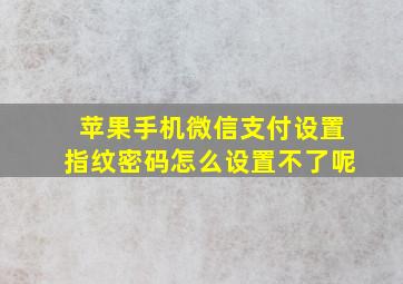 苹果手机微信支付设置指纹密码怎么设置不了呢