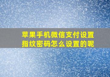 苹果手机微信支付设置指纹密码怎么设置的呢