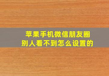 苹果手机微信朋友圈别人看不到怎么设置的