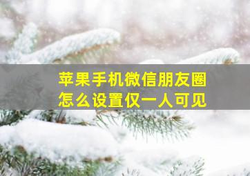 苹果手机微信朋友圈怎么设置仅一人可见