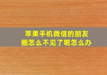 苹果手机微信的朋友圈怎么不见了呢怎么办