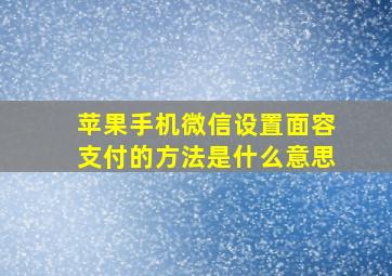 苹果手机微信设置面容支付的方法是什么意思