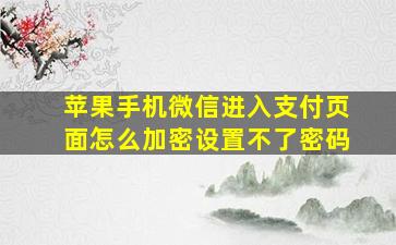 苹果手机微信进入支付页面怎么加密设置不了密码