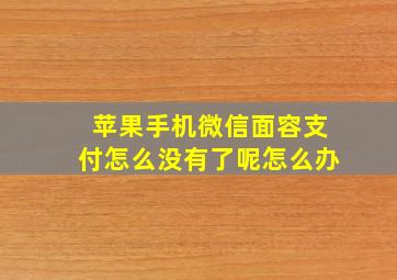 苹果手机微信面容支付怎么没有了呢怎么办