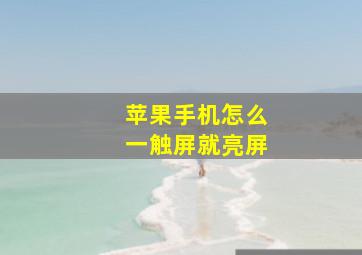 苹果手机怎么一触屏就亮屏