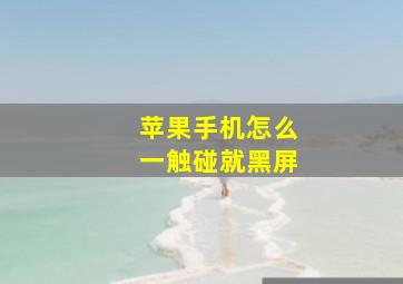 苹果手机怎么一触碰就黑屏